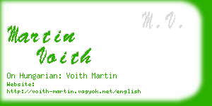 martin voith business card